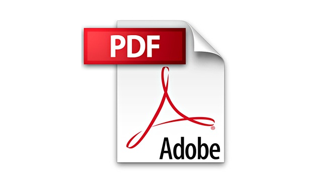 Google PDF Image Result