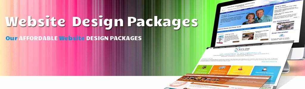 Professional Web Design Agency