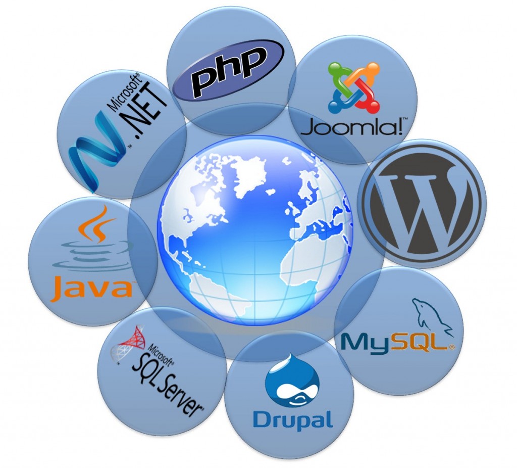 Professional Website Development