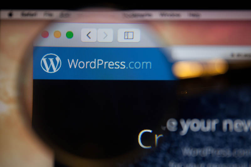Why Website Developers Prefer WordPress