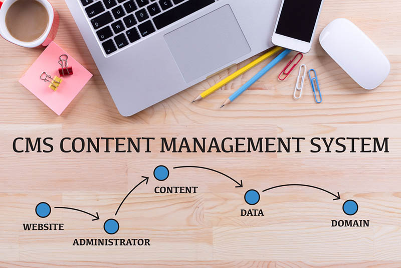 Top Content Management Systems in 