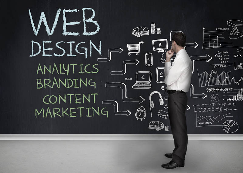 Professional Web Design Agency
