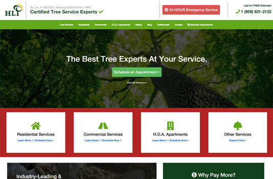 Hill Tree Experts