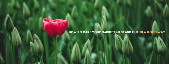 how to make your marketing stand out in a good way