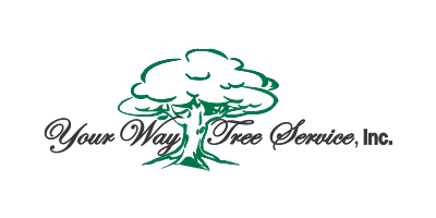 Your Way Tree Service