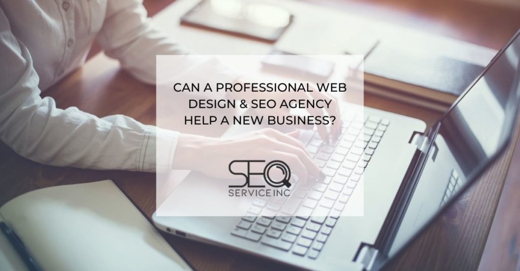 Can a Professional Web Design SEO Agency Help a New Business