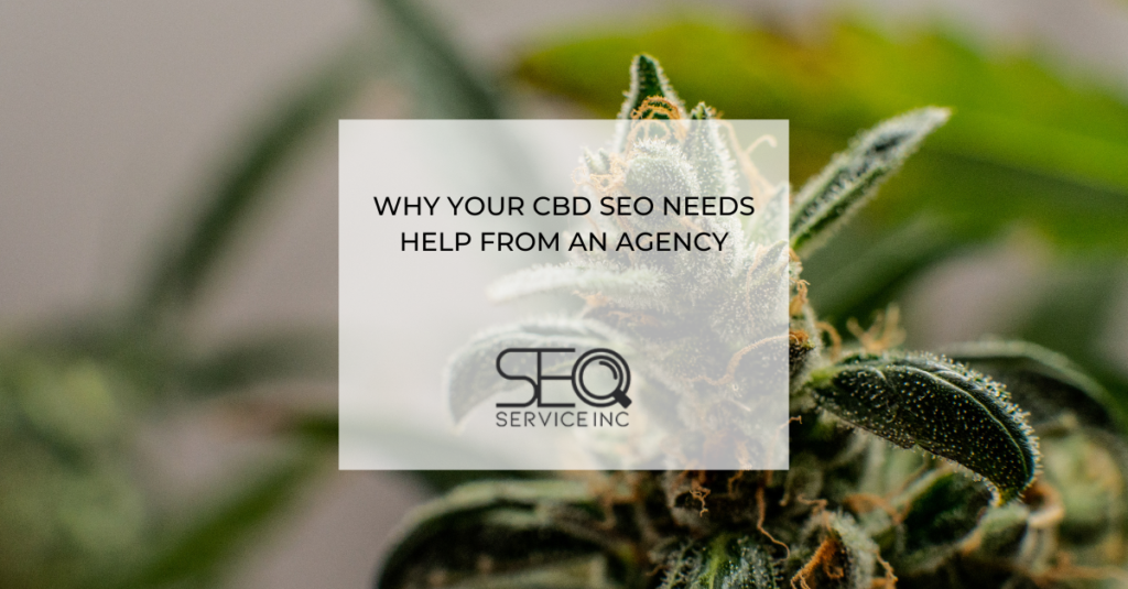 Why Your CBD SEO Needs Help From An Agency 