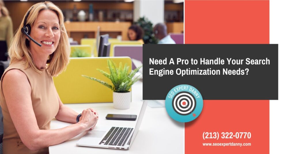 Need A Pro to Handle Your Search Engine Optimization Needs