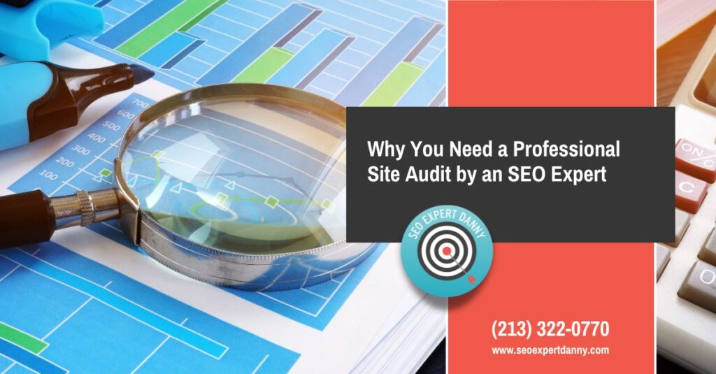 Why You Need a Professional Site Audit by an SEO Expert