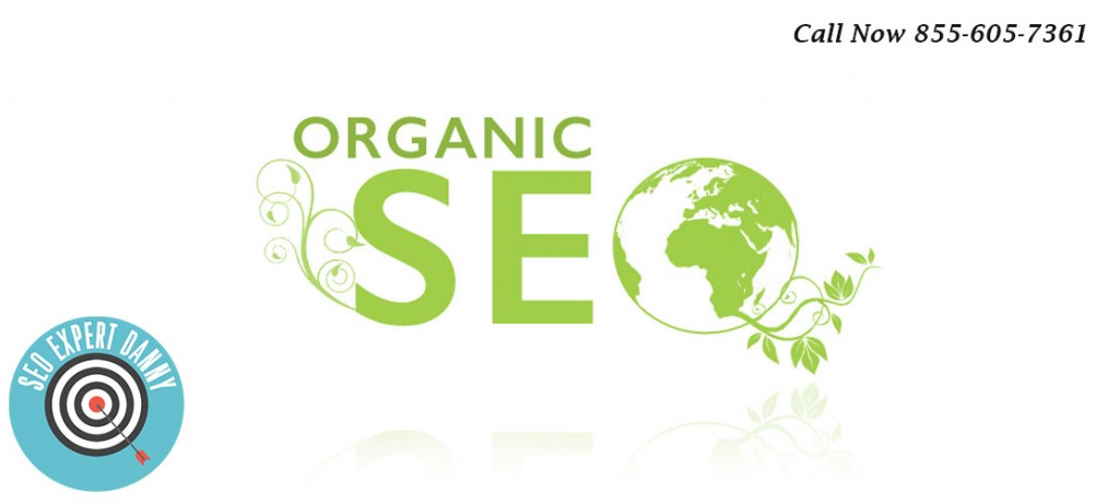 Organic Search Engine Optimization